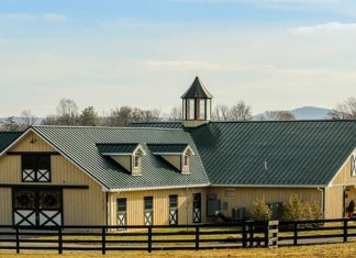 Co przyda się na podwórku każdemu dziecku?