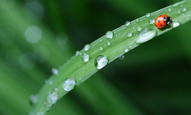 Czy pościel Milano jest dobra?