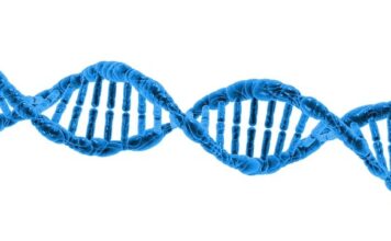 W jakim wieku można zrobić helix? W jakim wieku można zrobić helix?