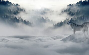 Co dla rocznego dziecka na zimę? Co dla rocznego dziecka na zimę?