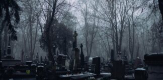 nagrobki w pruszkowie